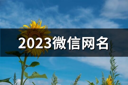 2023微信网名(3442个)