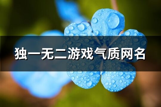 独一无二游戏气质网名(精选309个)