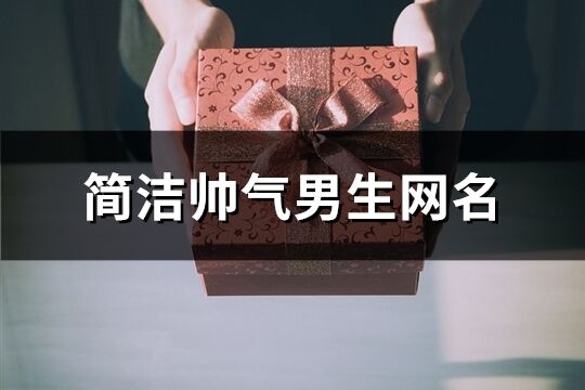 简洁帅气男生网名(共747个)