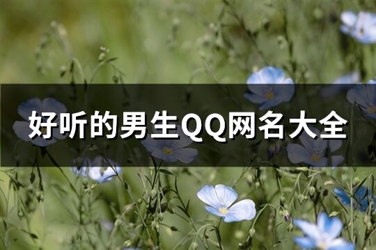 好听的男生QQ网名大全(649个)