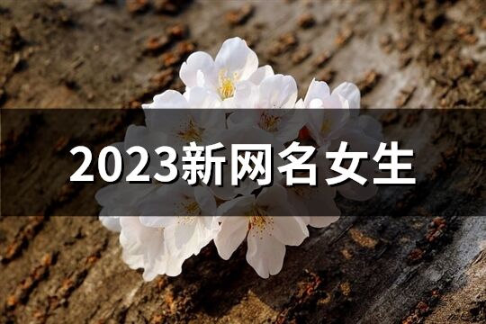 2023新网名女生(精选360个)