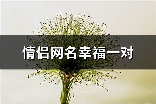 情侣网名幸福一对(共46个)