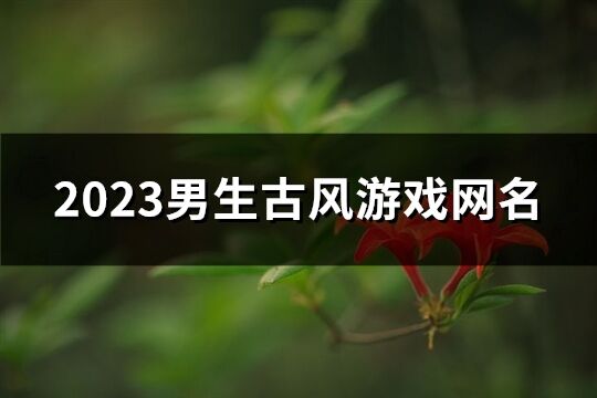 2023男生古风游戏网名(共515个)