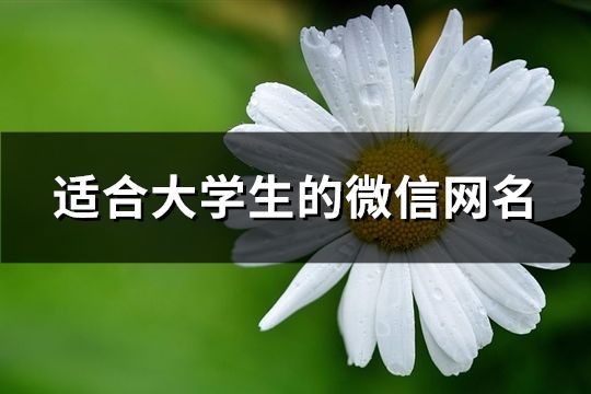 适合大学生的微信网名(共103个)