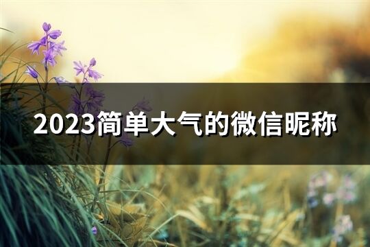 2023简单大气的微信昵称(精选624个)