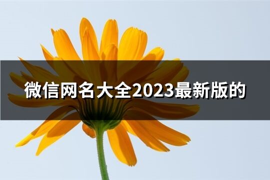 微信网名大全2023最新版的(共1759个)