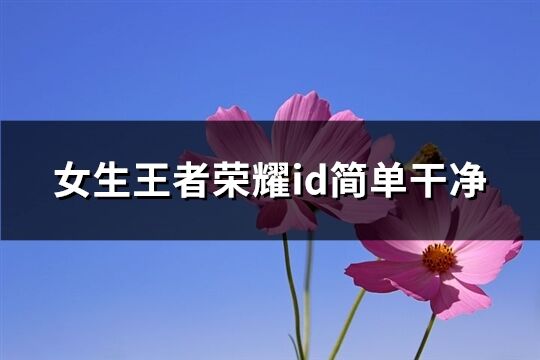 女生王者荣耀id简单干净(353个)