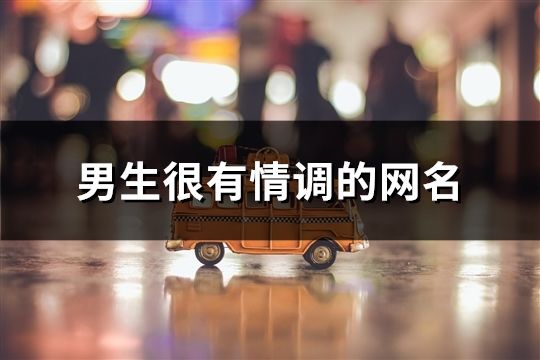 男生很有情调的网名(143个)