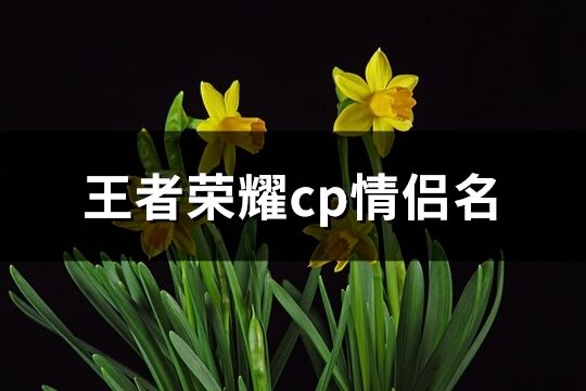 王者荣耀cp情侣名(共351个)