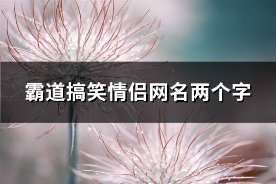 霸道搞笑情侣网名两个字(298个)