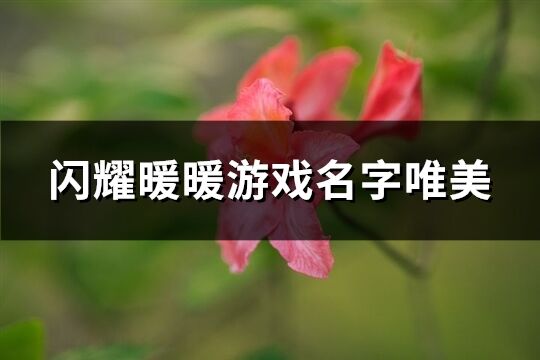 闪耀暖暖游戏名字唯美(372个)