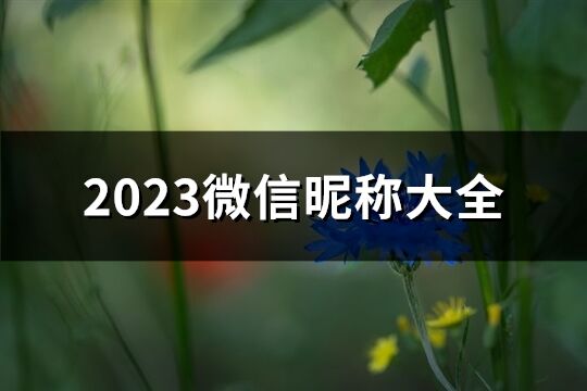 2023微信昵称大全(共2135个)