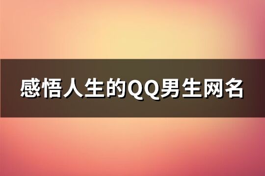 感悟人生的QQ男生网名(精选298个)