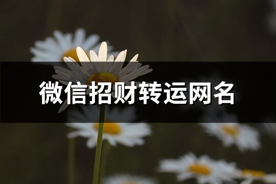 微信招财转运网名(精选386个)