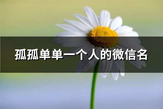 孤孤单单一个人的微信名(共68个)