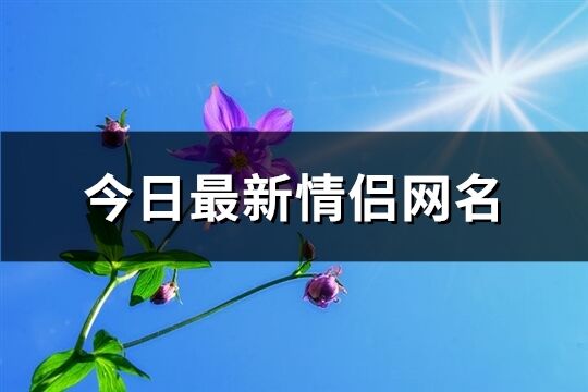 今日最新情侣网名(共345个)