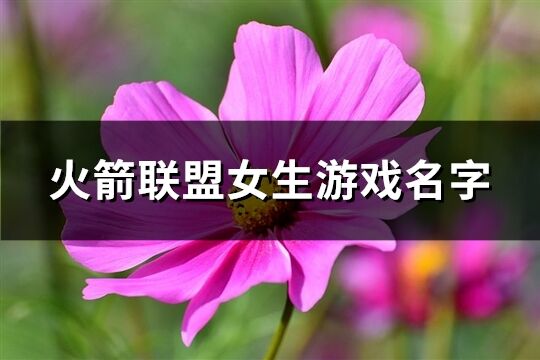 火箭联盟女生游戏名字(共292个)