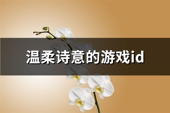 温柔诗意的游戏id(共709个)