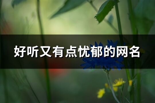 好听又有点忧郁的网名(共106个)