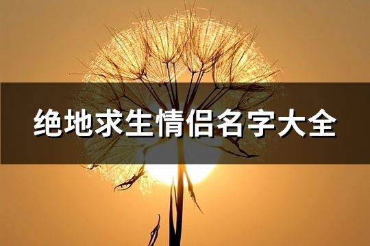 绝地求生情侣名字大全(精选125个)