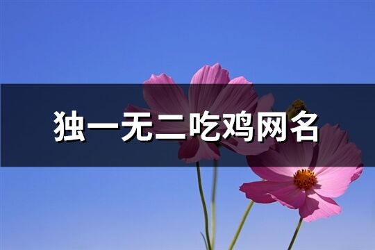 独一无二吃鸡网名(共269个)