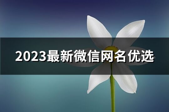 2023最新微信网名优选(精选3043个)