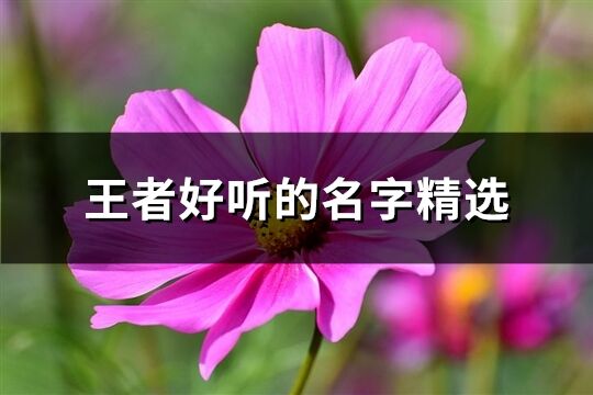 王者好听的名字精选(共360个)