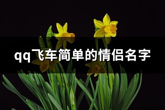 qq飞车简单的情侣名字(共153个)