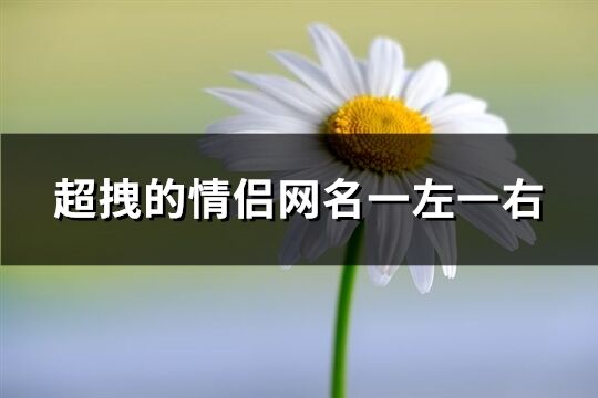 超拽的情侣网名一左一右(共98个)