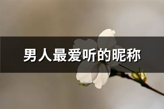 男人最爱听的昵称(共231个)