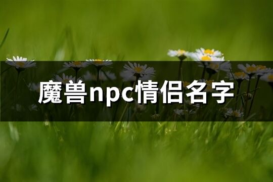 魔兽npc情侣名字(共138个)