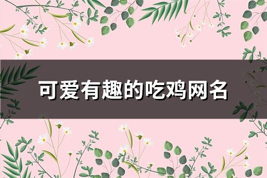 可爱有趣的吃鸡网名(527个)