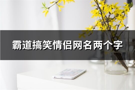 霸道搞笑情侣网名两个字(精选389个)