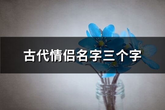 古代情侣名字三个字(共355个)