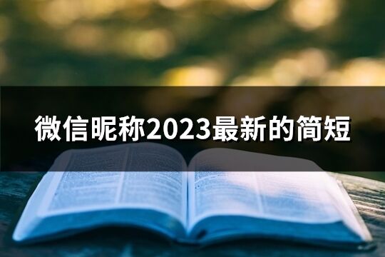 微信昵称2023最新的简短(2464个)