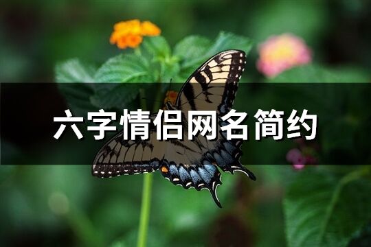 六字情侣网名简约(共227个)