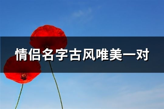 情侣名字古风唯美一对(共89个)