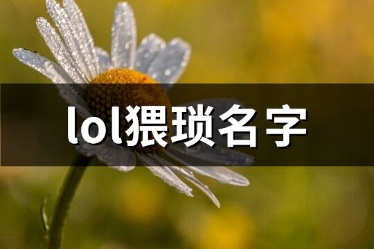 lol猥琐名字(共418个)