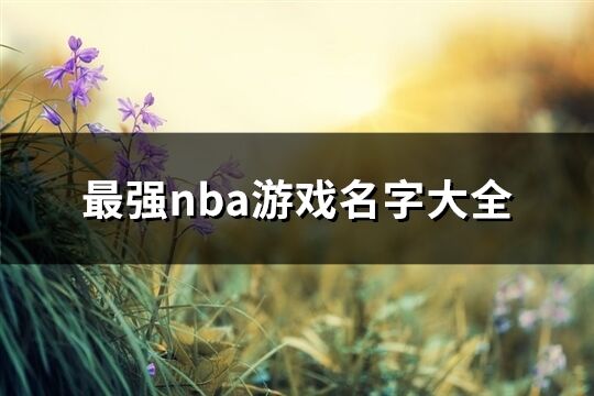 最强nba游戏名字大全(精选599个)