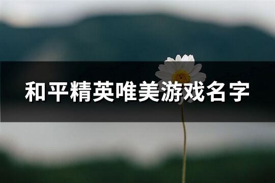 和平精英唯美游戏名字(527个)