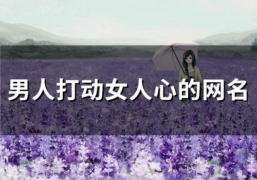 男人打动女人心的网名(精选420个)