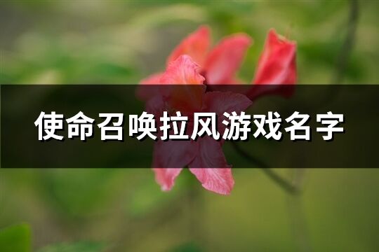 使命召唤拉风游戏名字(共681个)