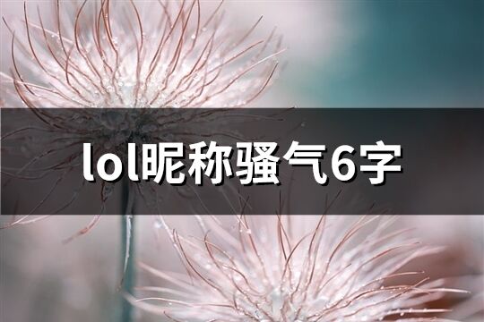 lol昵称骚气6字(共335个)