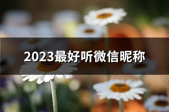 2023最好听微信昵称(共675个)