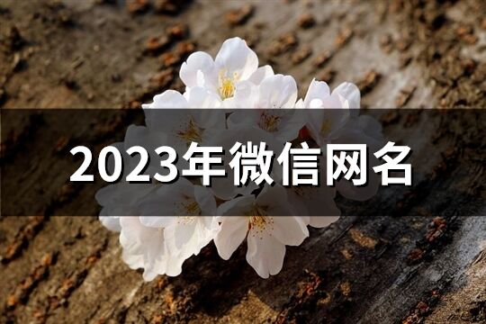 2023年微信网名(1227个)