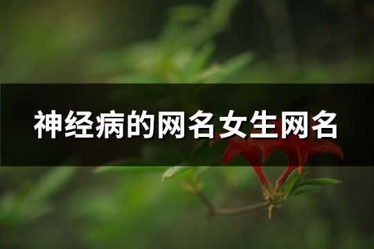 神经病的网名女生网名(共142个)