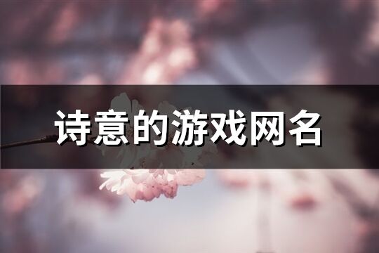 诗意的游戏网名(1004个)