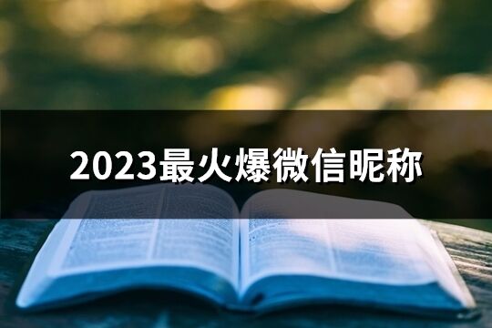 2023最火爆微信昵称(270个)