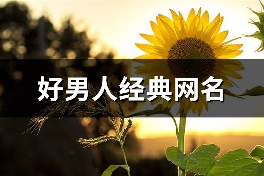 好男人经典网名(234个)