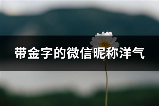 微信昵称洋气(126个)